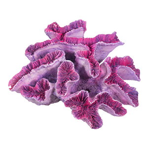 At@ebN@XL|S1781@vJTS@p[v@֓