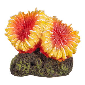 At@ebN@XL|S1780@vJTS@CG[IW@֓