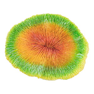 At@ebN@XL|S1783@vJTS@O[bh@֓