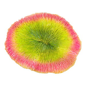 At@ebN@XL|S1784@vJTS@sNO[@֓