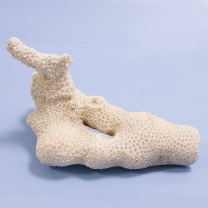 _@TS@LNCV̒ԁ@315749@֓