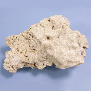 _@TS@LNCV̒ԁ@315771@֓