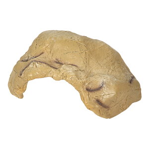 OW@RZ@nChP[@L@EHR07L@঒ށ@VF^[@BƁ@֓