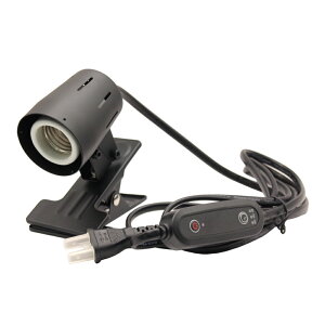 [XC@PLAAREA@Nbv\Pbg@@Ɩ@֓