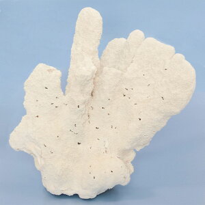 _@TS@n}TŜȂ܁@317978@֓