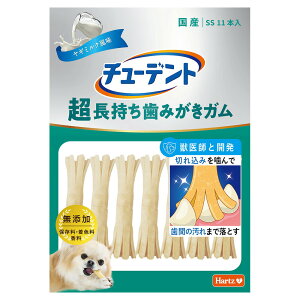 `[fg@݂K@SS@M~N@11{@֓