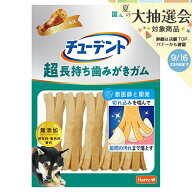 チューデント　超長持ち歯みがきガム　M−L　5本入　関東当日便