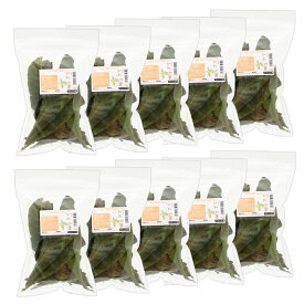 10袋セット　国産　びわの葉　10g×10袋　小動物用のおやつ　国産　無添加　無着色　関東当日便