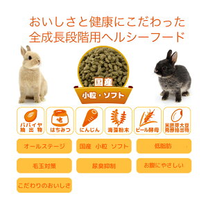 楽天市場 国産 うさぎの食事 お試しプレミアムセット 全成長段階用 毛球対策 小麦粉不使用 ヘルシーフード 関東当日便 Charm 楽天市場店