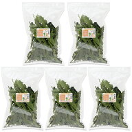 5袋セット　国産　パパイヤの葉　30g×5袋　お徳用パック　小動物用のおやつ　無添加　無着色　うさぎ　…