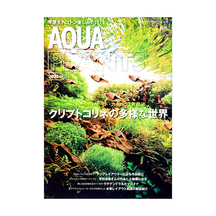 楽天市場】アクアプランツ 2025 NO．22 書籍 水草 関東当日便 