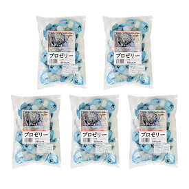 昆虫ゼリー　プロゼリー（16g　50個入り）×5　カブトムシ・クワガタ用　高タンパク！硬め仕上げ！ブリードに最適！　お一人様1点限り　関東当日便