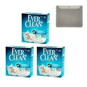 L@Go[N[@^Cv@6L@3@}bĝ܂t@gC@ł܂@xgiCg@ll1_@֓