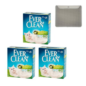 L@Go[N[@EF^Cv@6L@3@}bĝ܂t@xgiCg@gC@ł܂@ll1_@֓