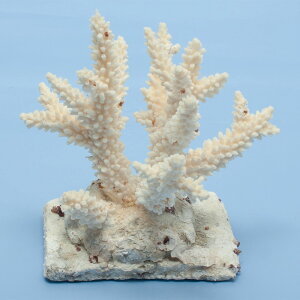 _@TS@~hCV@yt@321946@֓