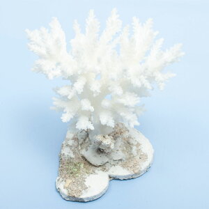 _@TS@~hCV@yt@324850@֓