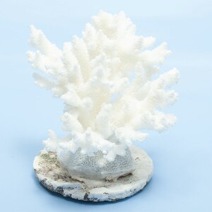 _@TS@~hCV@yt@324852@֓