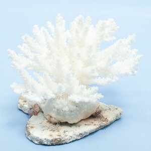 _@TS@~hCV@yt@324854@֓