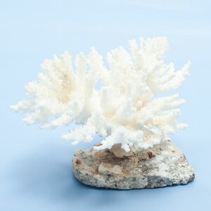 _@TS@~hCV@yt@324855@֓