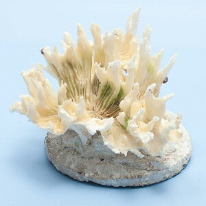 _@TS@E~o@yt@324857@֓