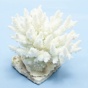 _@TS@~hCV@yt@324866@֓