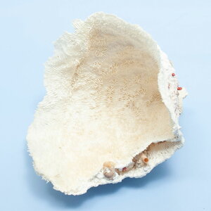 _@TS@ZxCTŜȂ܁@324870@֓