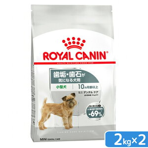 CJi@CE΂CɂȂ錢p@^`^p@~j@f^PA@10ȏ@2kg×2܁@Wbvt@ll2_@֓