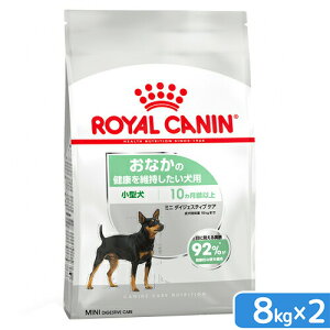 CJi@Ȃ̌Nێ@^E^p@~j@_CWFXeBuPA@8kg×2܁@Wbv@ll1_@֓