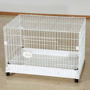 W[r[@pP[W@FW|D1@zCg×zCg@LX^[t@910×s640×620mm@֓