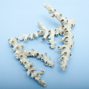 _@TS@LTŜȂ܁@2Zbg@328132@֓