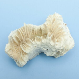 _@TS@~Y^}TS@328133@֓