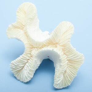 _@TS@iKniTS@328135@֓