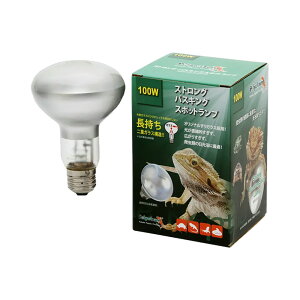 ybgybg][@oXLOX|bgv@XgO@100W@঒ށ@Cg@oXLOCg@֓