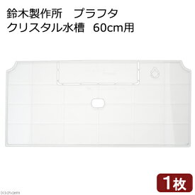 楽天市場 水槽 奥行き Cm 奥行き 29cm 水槽 アクアリウム 熱帯魚 アクアリウム ペット ペットグッズの通販