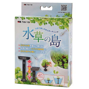 J~n^@̓@rIg[v@_J@Y@֓