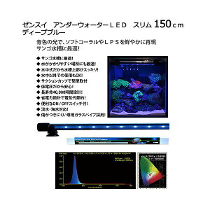 [J[@[XC@A_[EH[^[LED@X@150cm@fB[vu[@pƖ@Cg@ANAECg@s