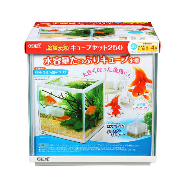楽天市場 ｇｅｘ 金魚元気キューブセット ２５０ 初心者 お一人様２点限り 関東当日便 Charm 楽天市場店