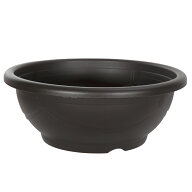 スドー　メダカ鉢　黒茶　18号　お一人様2点限り　関東当日便