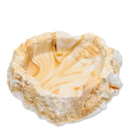 スドー　レプティボウル2　SF　関東当日便