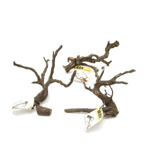 J~n^@}؁@`󂨔C@ll5_@ANAE@@֓