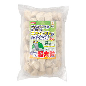 Rbg@J̏L@嗱@2D5L@֓