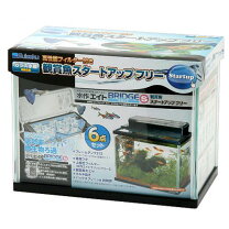 楽天市場】海水魚 水槽セット（ブランド水作）（ペット・ペットグッズ 