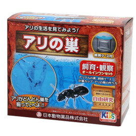 日本動物薬品　ニチドウ　アリ飼育観察セット　アリの巣　関東当日便