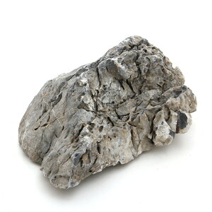 J~n^@ANAEbN@ؐ΁@@`󂨔C@֓