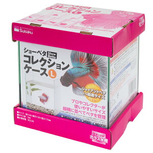 @KX@V[x^@RNVP[X@L@x^@^@֓