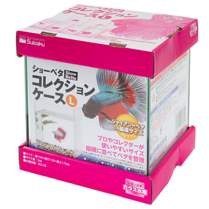 楽天市場 水作 ショーベタ コレクションケース ｌ 関東当日便 Charm 楽天市場店