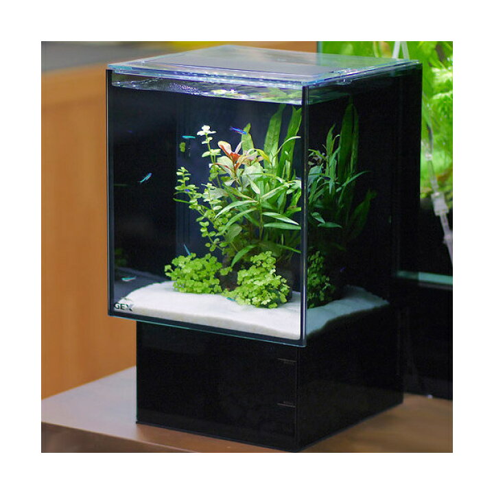 水槽 ジェックス グラステリア スリム 450