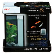 GEX　グラステリア　メダカ　横見　水槽　小型水槽　ガラス水槽　お一人様5点限り　関東当日便