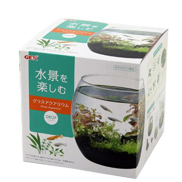楽天市場 ｇｅｘ グラスアクアリウム ドロップ 関東当日便 Charm 楽天市場店