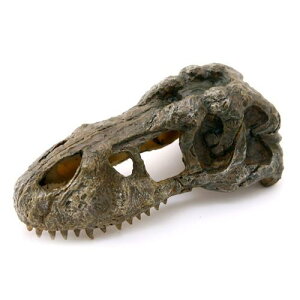 GEX@GL]e@T|REX@XJS@PT2860@঒ށ@CAEg@u@֓